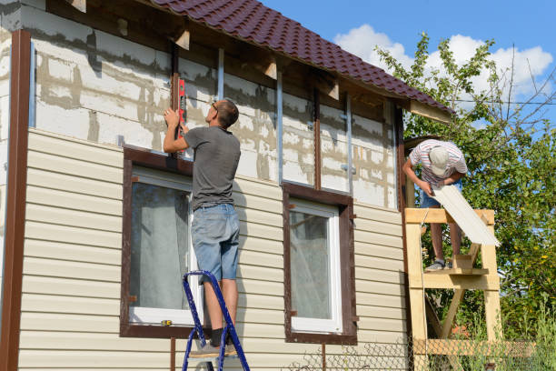 Best Custom Siding Design  in Falmouth, KY